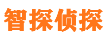 东兴区外遇调查取证